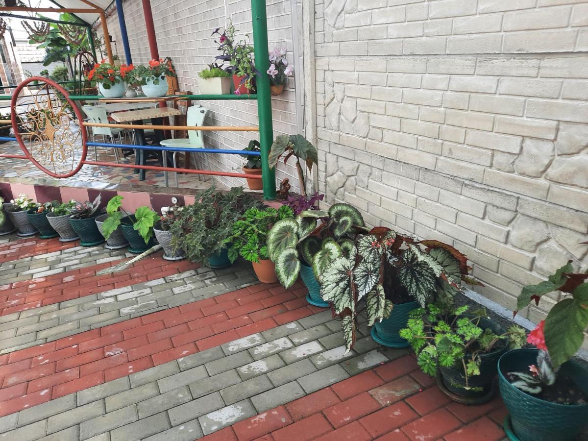 Hotel Nino Kobuleti Esterno foto